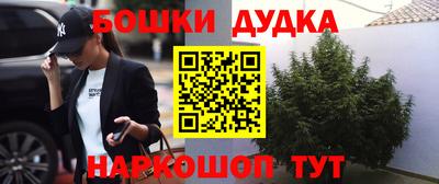 хмурый Бердск